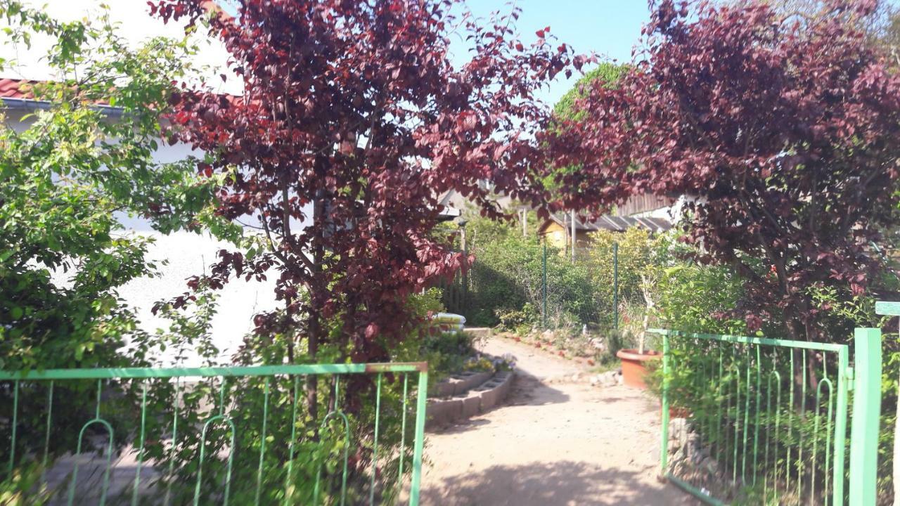 Apartments Zum Brauergang Garz  Exterior foto